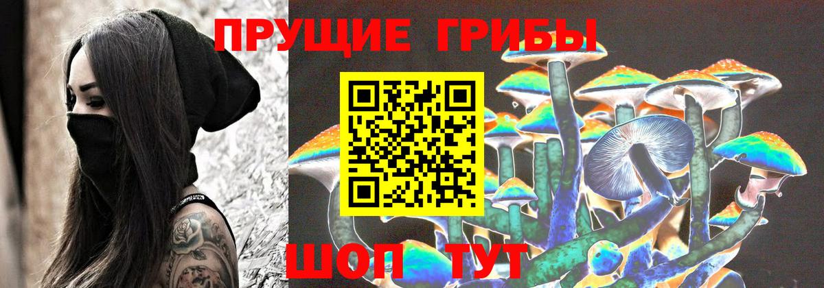 Галлюциногенные грибы Psilocybine cubensis  продажа наркотиков  Тихорецк  Вход с VPN  Псилоцибиновые грибы мухоморы 