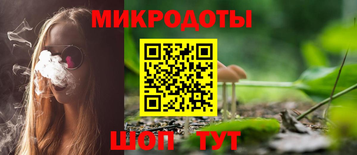 Псилоцибиновые грибы Psilocybe Тихорецк